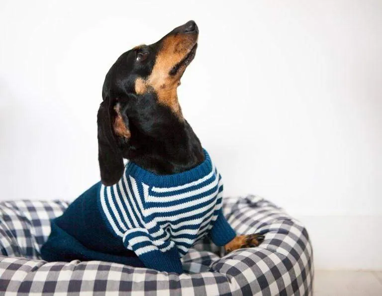 Blue x Raw Sweater