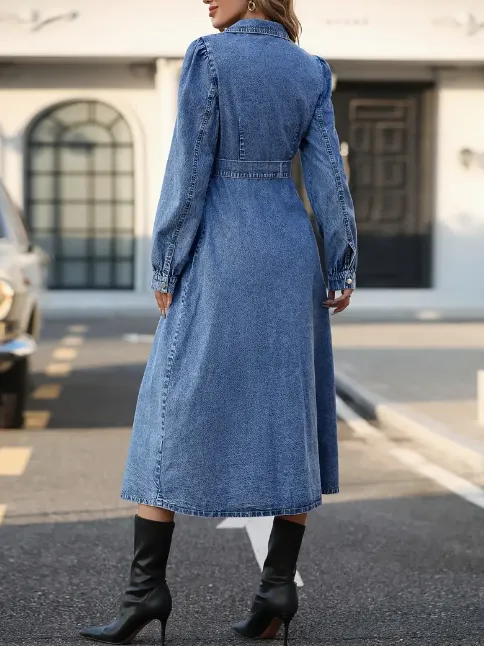 Denise Denim Dress