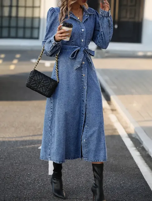 Denise Denim Dress