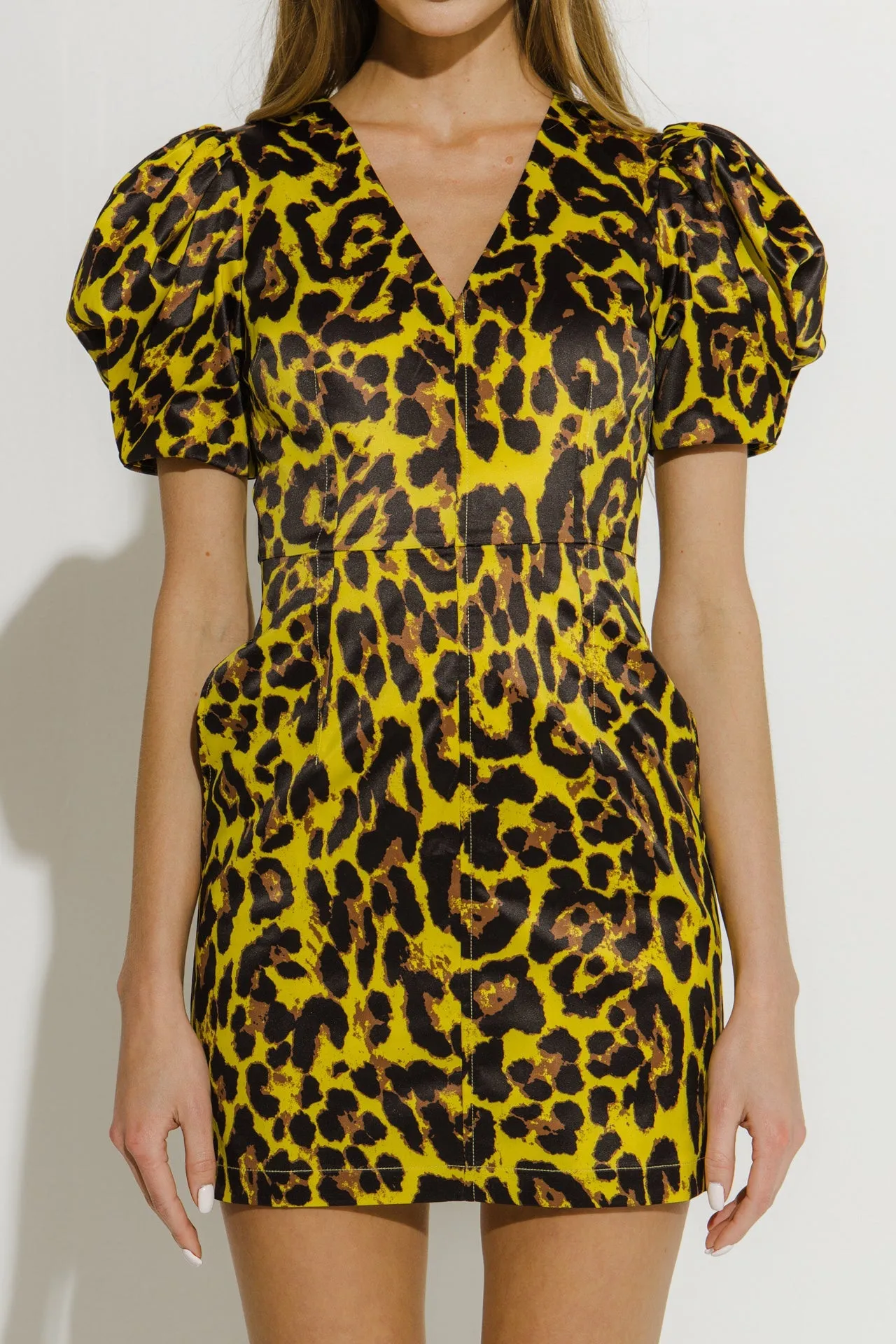 Endless Rose - Leopard Print Mini Dress