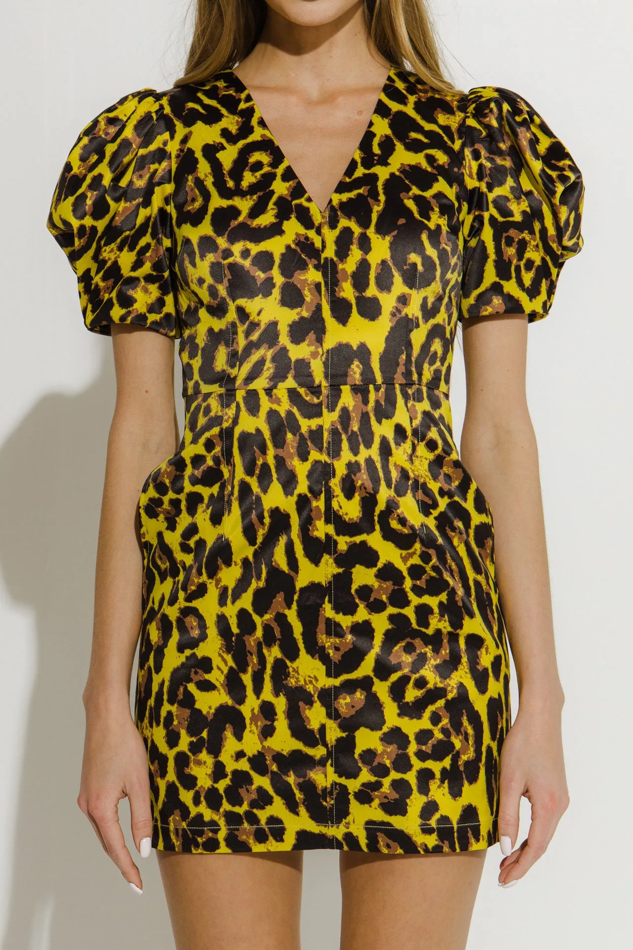 Leopard Print Mini Dress