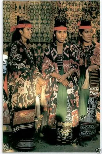 Rare old ceremonial hand spun hand woven black hemp textile loin cloth, Protective royal ancestor motif guarded by marine animals, Embroidery is hand twisted bark rope fiber twine. Melolo Village Sumba Indonesia (RE2) 35" x 13.5"